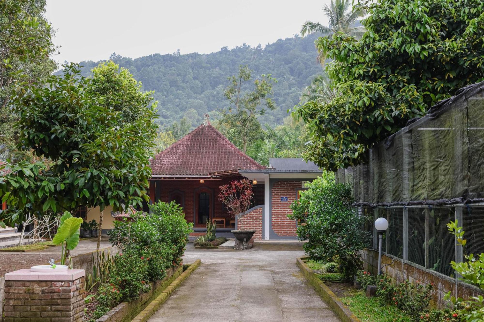 The Kori Homestay Munduk Esterno foto